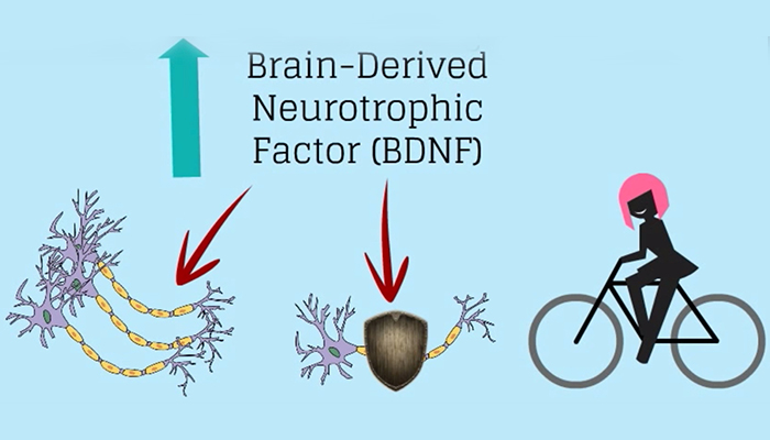 Exercise And Stroke Demystifying Medicine