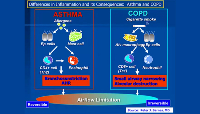 COPD — Bridging the gap between science and clinical care: Clinical ...